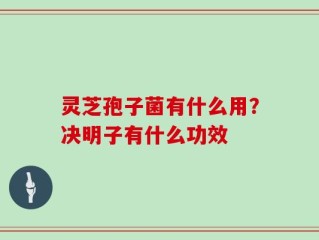 灵芝孢子菌有什么用？决明子有什么功效