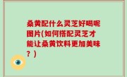 桑黄配什么灵芝好喝呢图片(如何搭配灵芝才能让桑黄饮料更加美味？)