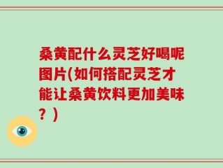 桑黄配什么灵芝好喝呢图片(如何搭配灵芝才能让桑黄饮料更加美味？)