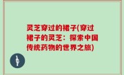 灵芝穿过的裙子(穿过裙子的灵芝：探索中国传统药物的世界之旅)