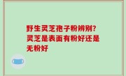 野生灵芝孢子粉辨别？灵芝是表面有粉好还是无粉好