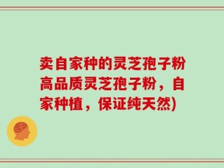 卖自家种的灵芝孢子粉高品质灵芝孢子粉，自家种植，保证纯天然)