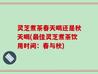 灵芝煮茶春天喝还是秋天喝(最佳灵芝煮茶饮用时间：春与秋)