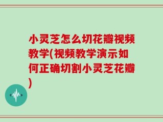 小灵芝怎么切花瓣视频教学(视频教学演示如何正确切割小灵芝花瓣)