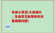 东南小灵芝(小而强大，东南灵芝能帮助你改善健康问题)