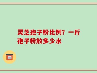 灵芝孢子粉比例？一斤孢子粉放多少水