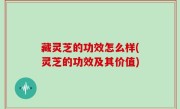 藏灵芝的功效怎么样(灵芝的功效及其价值)