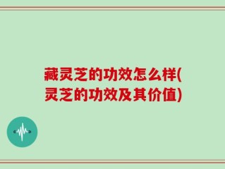 藏灵芝的功效怎么样(灵芝的功效及其价值)