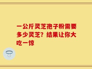 一公斤灵芝孢子粉需要多少灵芝？结果让你大吃一惊