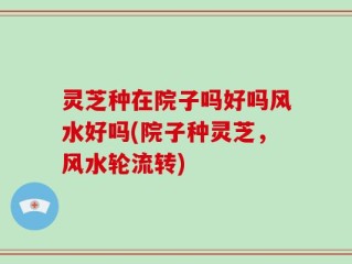 灵芝种在院子吗好吗风水好吗(院子种灵芝，风水轮流转)