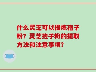 什么灵芝可以提炼孢子粉？灵芝孢子粉的提取方法和注意事项？