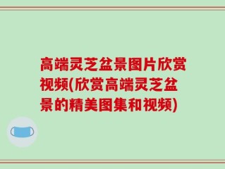 高端灵芝盆景图片欣赏视频(欣赏高端灵芝盆景的精美图集和视频)