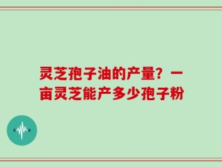 灵芝孢子油的产量？一亩灵芝能产多少孢子粉