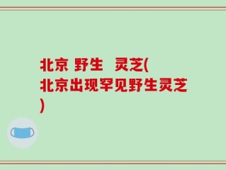 北京 野生  灵芝(北京出现罕见野生灵芝)