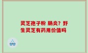 灵芝孢子粉 肠炎？野生灵芝有药用价值吗