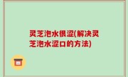 灵芝泡水很涩(解决灵芝泡水涩口的方法)