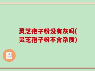 灵芝孢子粉没有灰吗(灵芝孢子粉不含杂质)