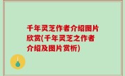 千年灵芝作者介绍图片欣赏(千年灵芝之作者介绍及图片赏析)