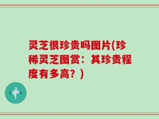 灵芝很珍贵吗图片(珍稀灵芝图赏：其珍贵程度有多高？)
