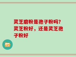 灵芝磨粉是孢子粉吗？灵芝粉好，还是灵芝孢子粉好