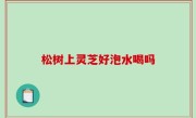 松树上灵芝好泡水喝吗