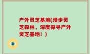 户外灵芝基地(漫步灵芝森林，深度探寻户外灵芝基地！)