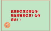 我想种灵芝给哪合作(想在哪里种灵芝？合作请进！)