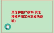 灵芝种植户张军(灵芝种植户张军分享成功经验)