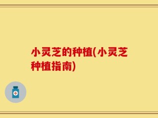 小灵芝的种植(小灵芝种植指南)