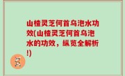 山楂灵芝何首乌泡水功效(山楂灵芝何首乌泡水的功效，纵览全解析!)