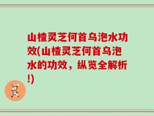 山楂灵芝何首乌泡水功效(山楂灵芝何首乌泡水的功效，纵览全解析!)