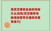 用灵芝喂养出来的鸡有什么功效(灵芝喂养鸡能增加营养价值和改善免疫力)