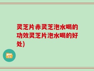 灵芝片赤灵芝泡水喝的功效灵芝片泡水喝的好处)
