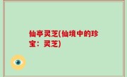仙亭灵芝(仙境中的珍宝：灵芝)
