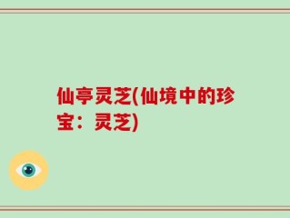 仙亭灵芝(仙境中的珍宝：灵芝)