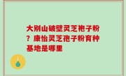 大别山破壁灵芝袍子粉？康怡灵芝孢子粉育种基地是哪里