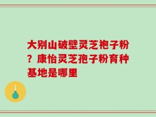 大别山破壁灵芝袍子粉？康怡灵芝孢子粉育种基地是哪里