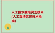 人工椴木栽培灵芝技术(人工栽培灵芝技术指南)