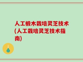 人工椴木栽培灵芝技术(人工栽培灵芝技术指南)