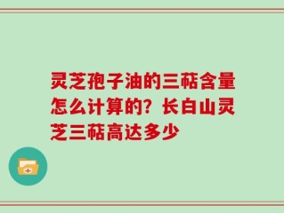 灵芝孢子油的三萜含量怎么计算的？长白山灵芝三萜高达多少