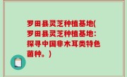 罗田县灵芝种植基地(罗田县灵芝种植基地：探寻中国非木耳类特色菌种。)