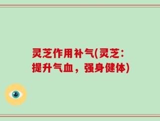 灵芝作用补气(灵芝：提升气血，强身健体)