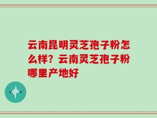 云南昆明灵芝孢子粉怎么样？云南灵芝孢子粉哪里产地好