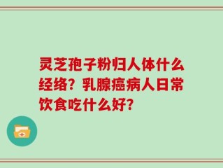 灵芝孢子粉归人体什么经络？乳腺癌病人日常饮食吃什么好？