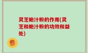 灵芝鲍汁粉的作用(灵芝和鲍汁粉的功效和益处)