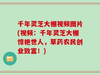 千年灵芝大棚视频图片(视频：千年灵芝大棚惊艳世人，草药农民创业致富！)
