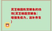 灵芝棉茵陈煲鲫鱼的功效(灵芝棉茵煲鲫鱼：增强免疫力，滋补养生)