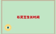 石灵芝生长时间