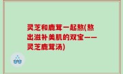 灵芝和鹿茸一起熬(熬出滋补美肌的双宝——灵芝鹿茸汤)