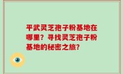 平武灵芝孢子粉基地在哪里？寻找灵芝孢子粉基地的秘密之旅？